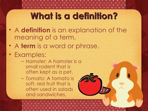 shamster|HAMSTER definition and meaning 